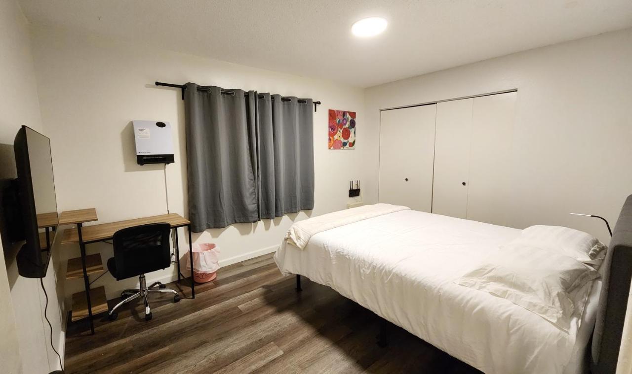 Centrally Located, 4X Queen, 300 Mbps Internet With Backyard! 赫米特 外观 照片